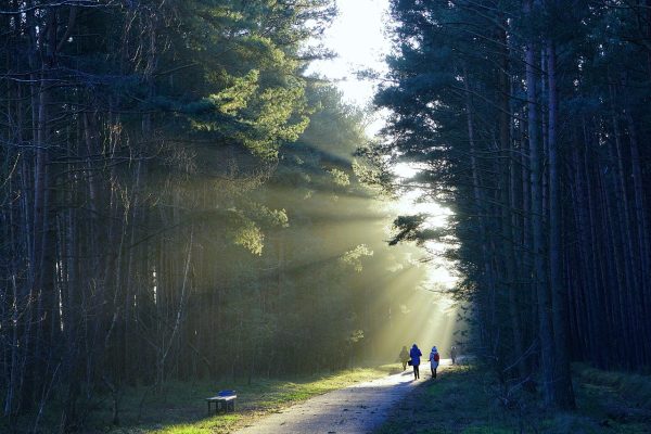 the-path-7631282_1280